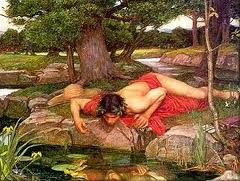 Narcissus