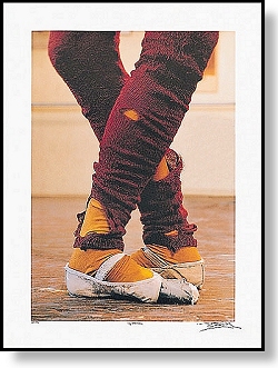 d_2_legwarmers